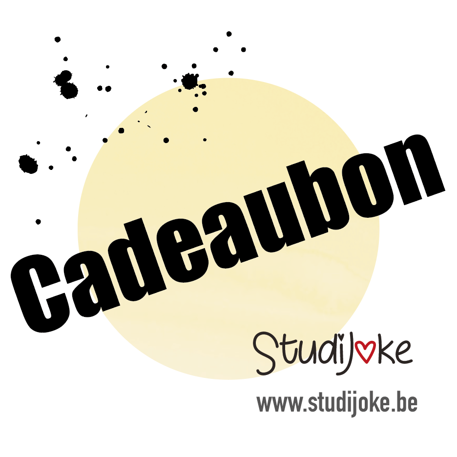 Cadeaubon Studijoke €12,50 tot €150