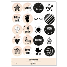 Afbeelding in Gallery-weergave laden, Stickervel -set van 4 zwanger & baby - ROOS