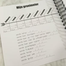 Afbeelding in Gallery-weergave laden, Invulboek 'Mijn eerste jaar'  ROOS